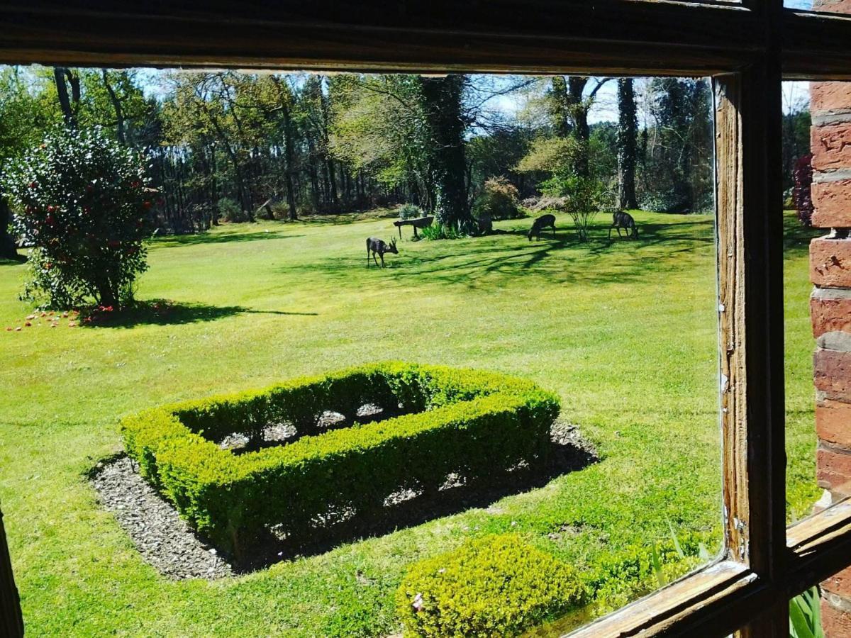 Les Hotes Des Guillemets Laglorieuse Zewnętrze zdjęcie